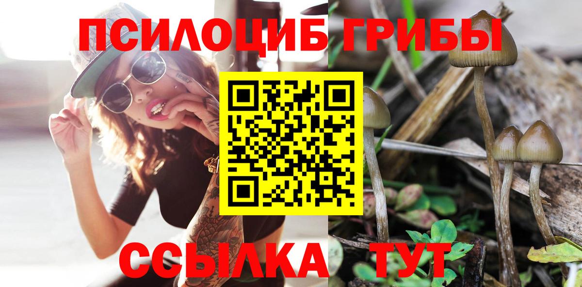 Ставрополь  Галлюциногенные грибы Cubensis  Вход с VPN  где продают   Галлюциногенные грибы мицелий 